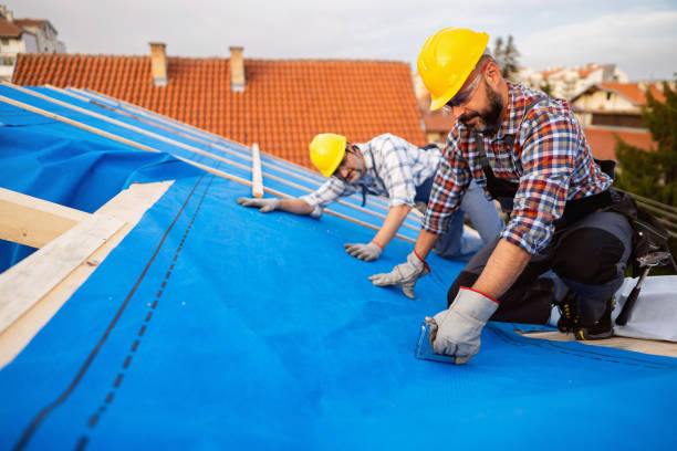 Best Local Roofing Companies  in Frederick, MD